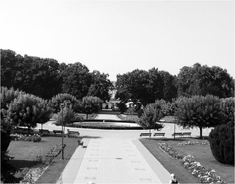 Dragan Pavi}evi}, Slobodan Ivkovi} Слика 1. Централни део Бањског парка Figure 1. Central part of the Park in Banja Koviljača западноевропске паркове и простире се на повр- шини од 40 hа.