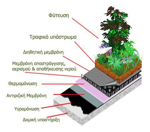 αισθητικά ελκυστική λύση που συμβάλλει στην μόνωση της οροφής και συνεισφέρει σ ένα υγιές περιβάλλον είναι το «φυτεμένο δώμα» ή «πράσινη στέγη».