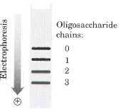 koji sadrže nula, jedan, dva i tri oligosaharidna lanca, koji završavaju sa ostatkom