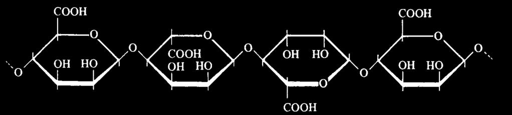 Poliuronidi osnovna monosaharidna jedinka uronska kiselina D-galakturonska, D-glukuronska, D-manuronska i D-