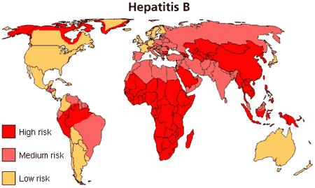 Слика 6. Хепатитис Б во светот Figure 6. Hepatitis-B world vide Во Република Македонија бројот на регистрирани лица со хепатитис Б е околу 2.171, но се претпоставува дека оваа бројка е поголема. 8 1.