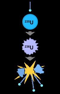 4.Reactia de fisiune Un neutron termic este absorbit de un nucleu de uraniu-235, care fisionează în alte elemente mai ușoare și neutroni rapizi.