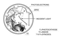 Fotodaugintuvas Reikia efektyviai surinkti ir padauginti elektronus Dinodai ir andoas Šiomis dangomis padengiami metaliniai elektrodai (Ni, plienas arba vario-berilio lydinys).