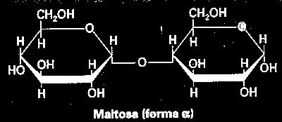 10.Cales son os principais monosacáridos? Pentosas:... Hexosas:... 11.De que moléculas se trata? Como se chama o enlace químico que as une?