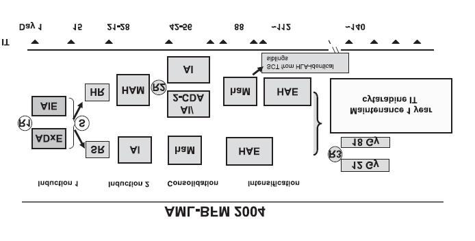 Слика 1. Протокол BFM-AML-2004. Преузето из Creutzig и сар., 2013. 1.2. Акутна лимфобластна леукемија АЛЛ је најчешће малигно обољење дечјег узраста и чини око 30% свих малигнитета код деце (Janic, 2012).