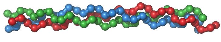 Μια ίνα κολλαγόνου αποτελεί ένα δεμάτιο των μικρότερων ινιδίων κολλαγόνου.