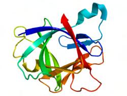 Ιντερλευκίνη-1 (ΙL-1) Η ιντερλευκίνη 1 (ΙL-1) περιγράφηκε για πρώτη φορά το 1972 σαν παράγοντας που ενεργοποιεί τα λεμφοκύτταρα (Gery I, 1972).