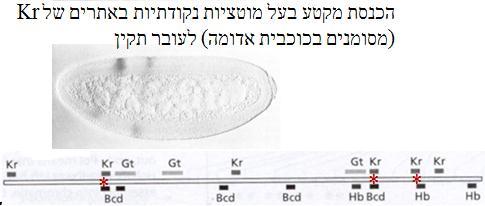 Biocid באותו-זמן שאתם ביצעתם את הניסויים שלכם, התפרסם מאמר של קבוצה אחרת.