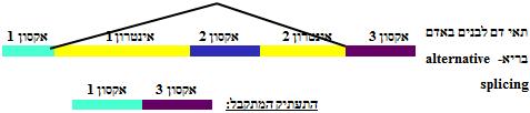 החוקרים מעוניינים להבין את המנגנון המתרחש בתאי הדם הלבנים באדם הבריא ובאדם החולה. לצורך כך ברצונם לרצף את התעתיק ולבדוק האם אכן מדובר במוטציות בהן הם חושדים.