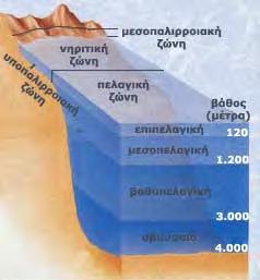 ξηρά διακρίνονται: