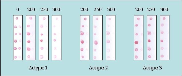 Εικόνα 5.29: Μελέτη επίδρασης φορμαμιδίου στο διάλυμα ανάπτυξης σε τρία διαφορετικά δείγματα. Οι αριθμοί πάνω από κάθε μεμβράνη αντιστοιχούν στις συγκεντρώσεις φορμαμιδίου σε ml/l.
