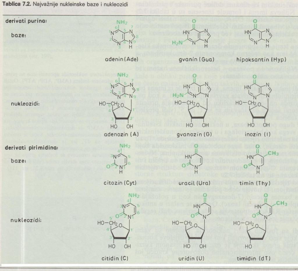 Nukleozidi: N-glikozidi, tj.