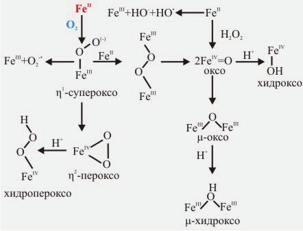 [2Fe-2S] n+, слика 8б.