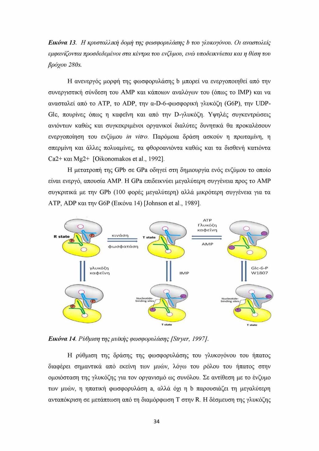 Εικόνα 13. Η κρυσταλλική δομή της φωσφορυλάσης b του γλυκογόνου. Οι αναστολείς εμφανίζονται προσδεδεμένοι στα κέντρα του ενζύμου, ενώ υποδεικνύεται και η θέση του βρόχου 280s.