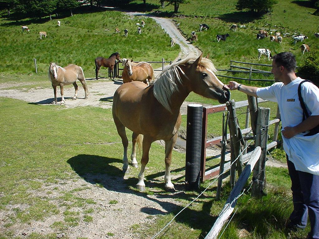 njihovih božanstvih, polbožanstvih in junakih se imenujejo nekatere zvezde in ozvezdja in še bi lahko naštevali. Dali so nam osnove politične kulture, takšne in drugačne.