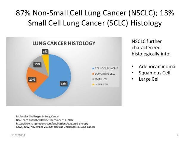 Υπάρχουν δύο βασικές κατηγορίες πρωτοπαθούς καρκίνου του πνεύμονα (Διάγραμμα 3.10): 1. Μη Μικροκυτταρικός Καρκίνος Πνεύμονα (ΜΜΚΠ): αντιστοιχεί στο 85% έως 90% των περιπτώσεων.