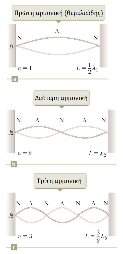 Στάσιμα Κύματα Κύματα υπό Οριακές Συνθήκες Για να παρουσιαστεί μια μόνο αρμονική, πρέπει να διεγείρουμε το νήμα ώστε να πάρει το σχήμα της επιθυμητής αρμονικής Αφού το διεγείρουμε, το νήμα θα