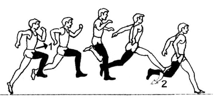 مرحله لی لی به ورزشکاران کمک کنید تا : پای جهش را کامال باز کنند و آن را فعال نگه دارند. پای آزاد را به جلو برانند. متوازن باقی بمانند.