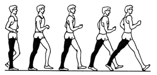 پیاده روی مسابقه ای زنجیره کامل حرکات اتکای دو پایی اتکای یک پایی دو پایی اتکای یک پایی اتکای دو پایی شرح مرحله هر گام پیاده روی مسابقه ای یک مرحله اتکای یک پایی شود ) و یک مرحله اتکای دو پایی -0-2