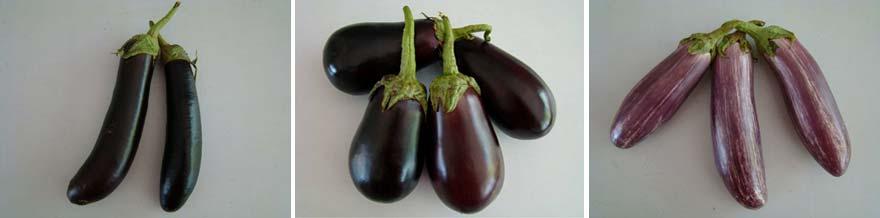 Ποικιλίες Solanum melongena Λαγκαδά Έμι Τσακώνικη Ποικιλία Χρώμα Σχήμα Βάρος (g) Μήκος (cm) Διάμετρος (cm) Λαγκαδά σκούρο ιώδες κυλινδρικό 250 18