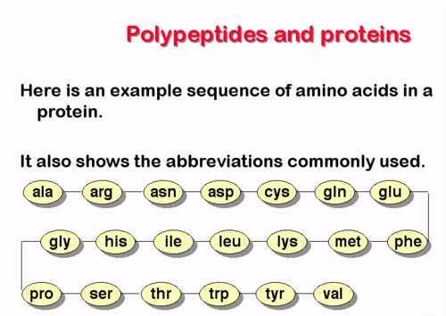 Πεπτίδια και Πρωτεΐνες Παράδειγμα