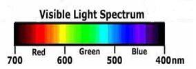 Fluorescein (FITC) Απορρόφηση Εκπομπή Εικόνα