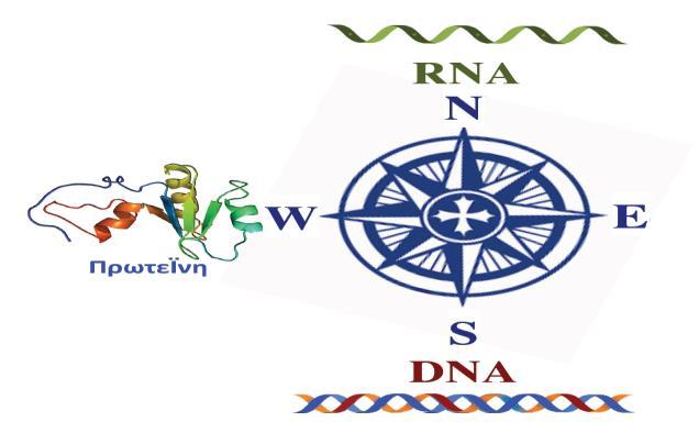 Southern (S), όπου και γίνεται η ανάλυση του DNA