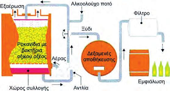 113 καρβοξυλικά οξέα Το σημαντικότερο μέλος της σειράς είναι το αιθανικό ή οξικό οξύ ( COOH), το οποίο και θα εξεταστεί αναλυτικότερα.