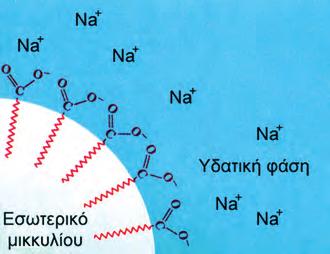 Έτσι, λίπη και έλαια βράζονται σε υδατικό διάλυμα ΝαΟΗ μέχρι να υδρολυθούν πλήρως. Με προσθήκη NaCl στο μίγμα καθιζάνουν οι σάπωνες (εξαλάτωση).