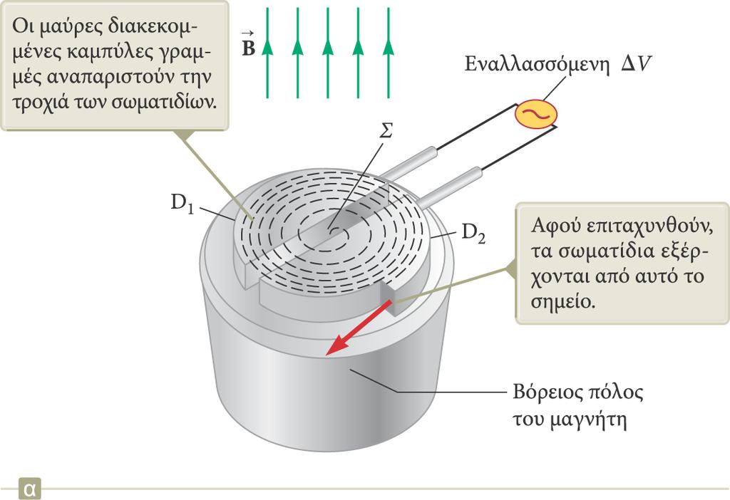 Κύκλοτρο (2) Τα D 1 και D 2 ονοµάζονται ντι (dee) λόγω του σχήµατός τους. Στα ντι εφαρµόζεται εναλλασσόµενη διαφορά δναµικού υψηλής συχνότητας.