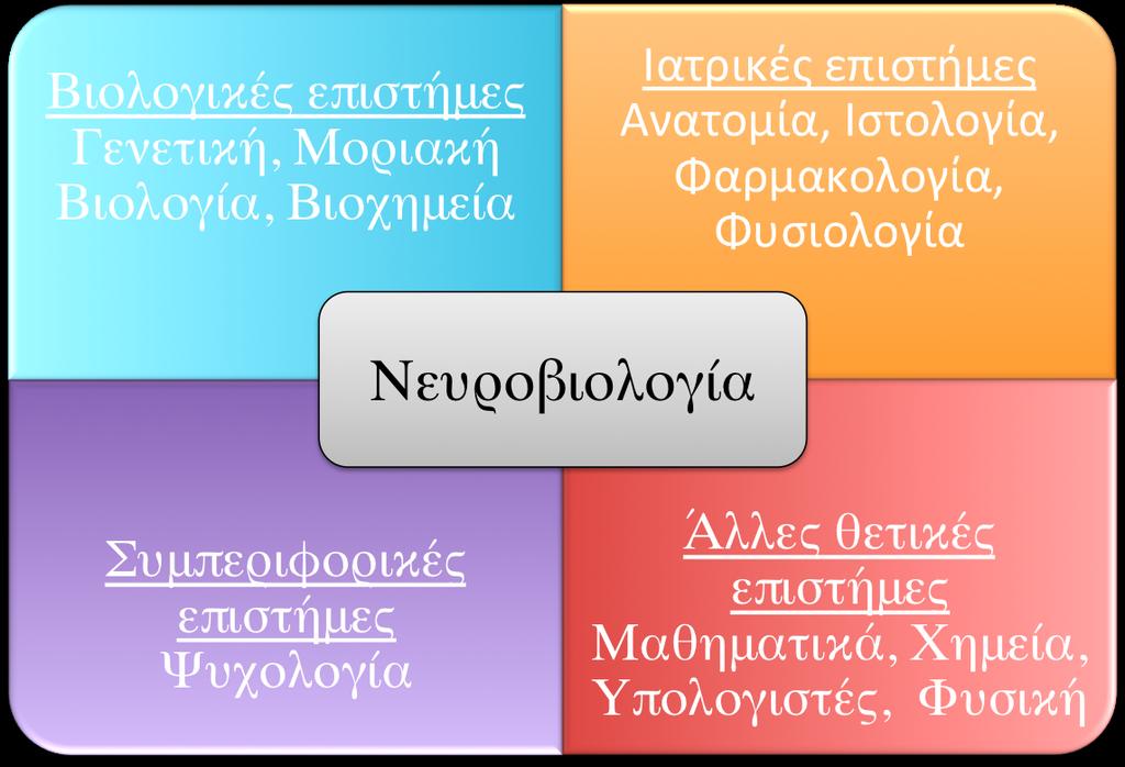 Κεφάλαιο 1: Βασικές αρχές ανατοµίας και οργάνωσης του νευρικού συστήµατος Περίληψη Σε αυτό το πρώτο κεφάλαιο, θα παρουσιαστεί η βασική οργάνωση του νευρικού συστήµατος, δηλαδή ο διαχωρισµός σε