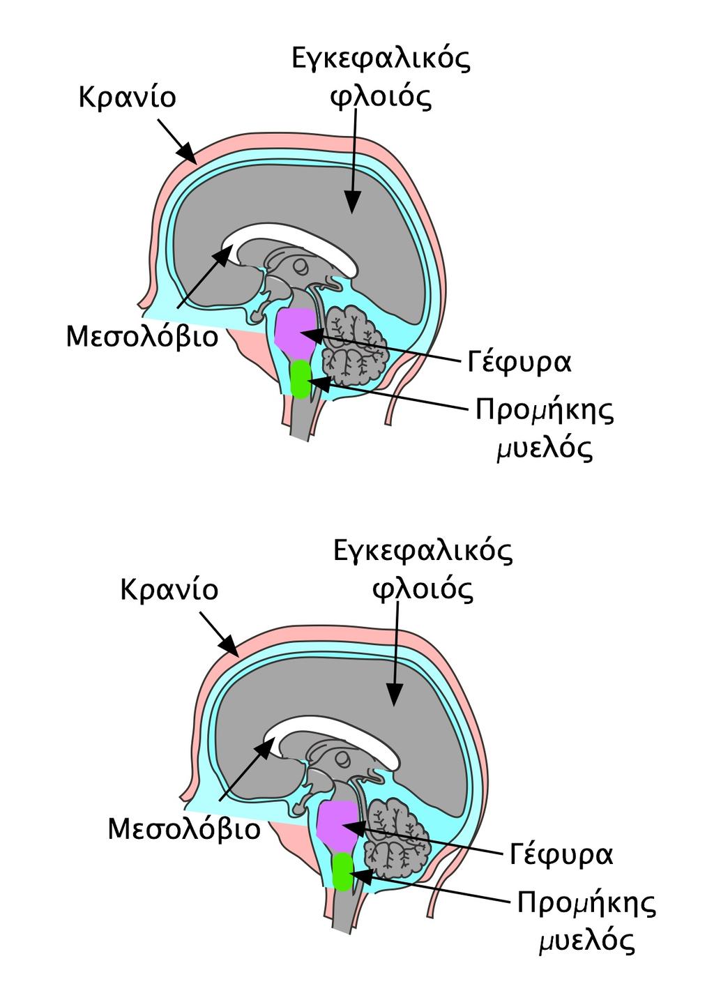 Εικόνα 1.