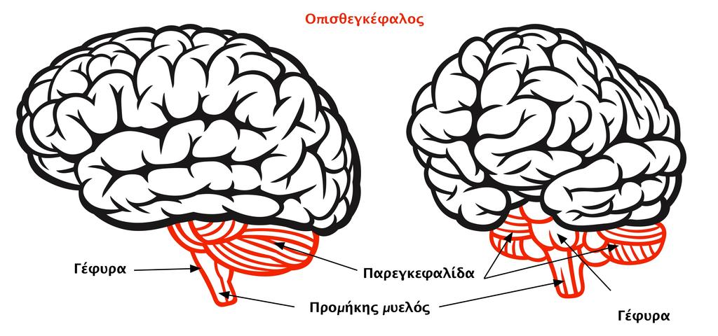 Εικόνα 1.