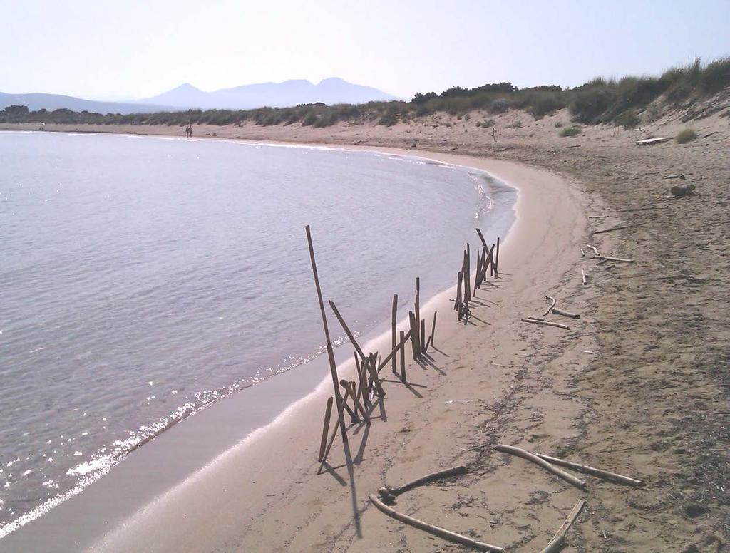 Περισσότερες πληροφορίες Δίκτυο ΜΕΣΟΓΕΙΟΣ SOS Μαμάη 3A, 104 40 Αθήνα T / F (0030) 210 8228795 E