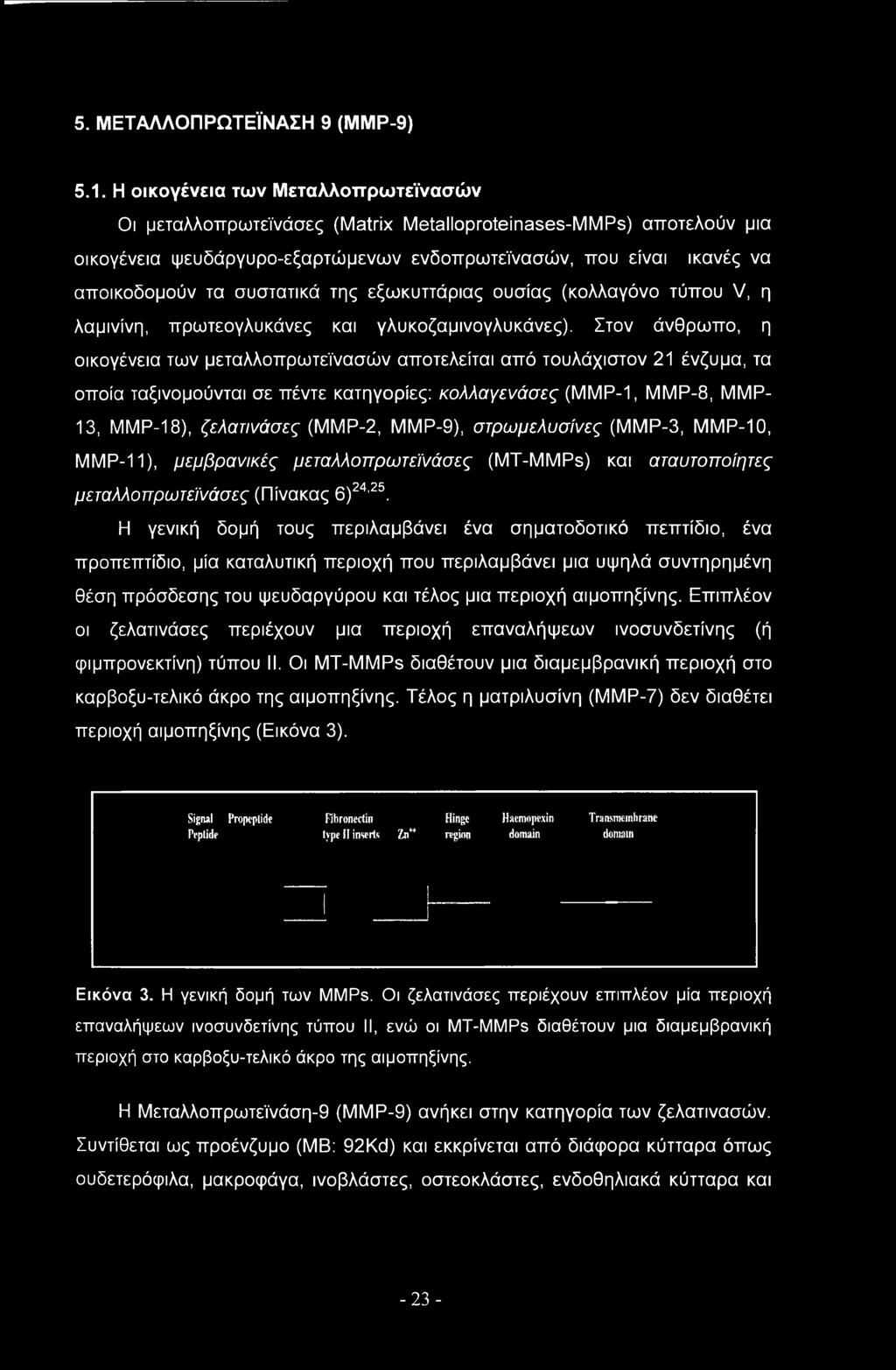 ΜΜΡ-9), στρωμελυσίνες (ΜΜΡ-3, ΜΜΡ-10, ΜΜΡ-11), μεμβρανικές μεταλλοπρωτεϊνάσες (MT-MMPs) και αταυτοποίητες μεταλλοπρωτεϊνάσες (Πίνακας 6)24,25.