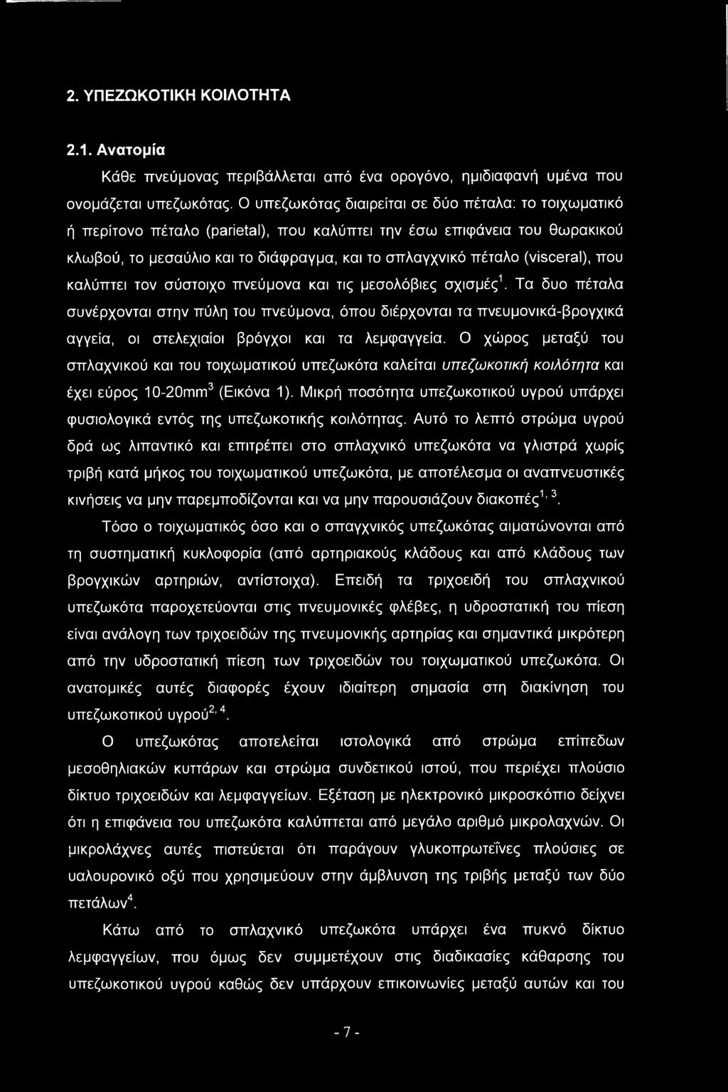 2. ΥΠΕΖΩΚΟΤΙΚΗ ΚΟΙΛΟΤΗΤΑ 2.1. Ανατομία Κάθε πνεύμονας περιβάλλεται από ένα ορογόνο, ημιδιαφανή υμένα που ονομάζεται υπεζωκότας.