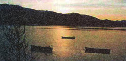 Εικόνα 5-5 Λιμνοθάλασσα Σαλαώρα Αμβρακικού κόλπου. (Πηγή: Κ. Μπόγδανος) 5.4.