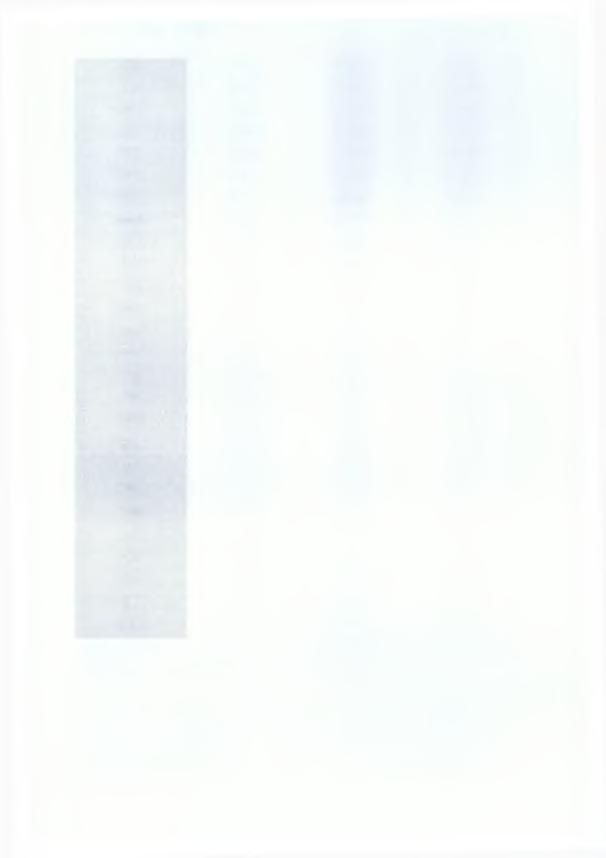ΘΕΡΑΠΕΥΤΗΡΙΟ ΕΥΑΓΓΕΛΙΣΜΟΣ 44 1908 67.883 55.682 12.201 1909 66.476 45.721 20.755 1910 67.452 44.193 23.259 1911 65.489 43.063 22.426 1912 60.469 39.129 21.340 1913 66.895 39.593 37.
