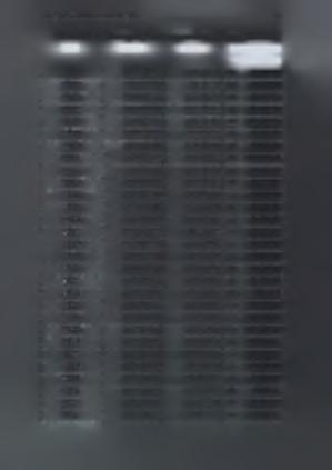29 1891 -..ο-, 274.067.41 163.163.33 + 110.904.08 1892 229.598.10 162.580.80 + 67.017.30 1893 198.748.65 171.850.53 + 26.898.88 1894 147.027.54 169.859.50-22.831.96 1895 277.530.49 192.232.64 + 85.