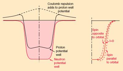 2,8,18,20,34,40 και όχι 2,8,20,28,50,82,126. Πρέπει να συµπεριληφθεί η αλληλεπίδραση του σπιν µε την τροχιακή στροφορµή. Σχήµα 8.4. Η σύζευξη του σπιν µε την τροχιακή στροφορµή µεταβάλει την µορφή του δυναµικού και εποµένως έχει σαν συνέπεια την µεταβολή της ενέργειας των πυρηνικών σταθµών και στον διαχωρισµό τους.