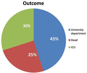 PNEUMON Number 3, Vol. 27, July - September 2014 233 Figure 2. Outcome of drowning and near-drowning victims that have been transported to the ICU during the period: May 2012 - September 2013.