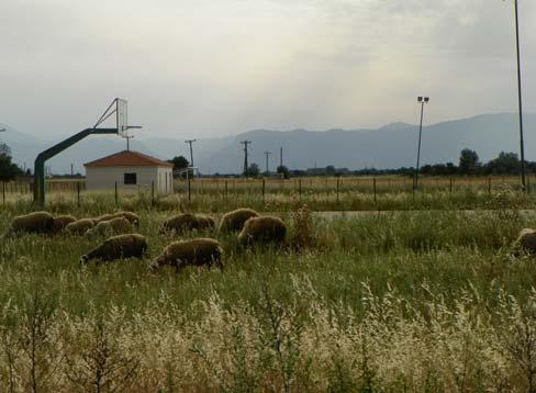 οικισμών