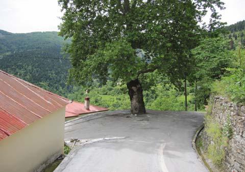 μεγαλύτερα αστικά κέντρα και τα περιορισμένα τεχνικά και οικονομικά μέσα