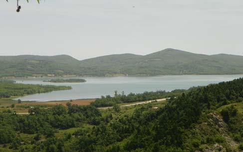 Η βλάστηση είναι μικτή, χαμηλή και αραιή δασική με φρυγανότοπους και με