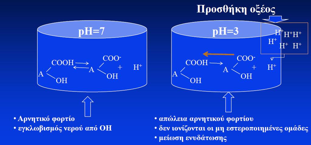 18 Σχηματισμός πηκτώματος ΗΜ πηκτίνες-προσθήκη οξέος-μείωση ph (αύξηση συγκέντρωσης ιόντων Η + ) Με την προσθήκη οξέος,(σχήμα 2.