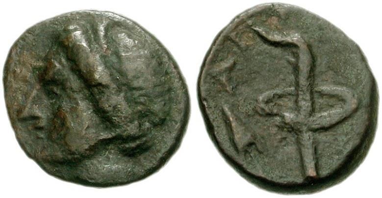 Άπτερας, 250 67 π.