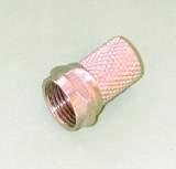 354 Pal - Male,19