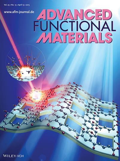 Inside Front Cover Reduced Graphene Oxide Micromesh Electrodes for Large Area, Flexible, Organic Photovoltaic Devices (Adv.Funct.Mater. 25,15, page 2206 APR 2015 DOI: 10.1002/adfm.