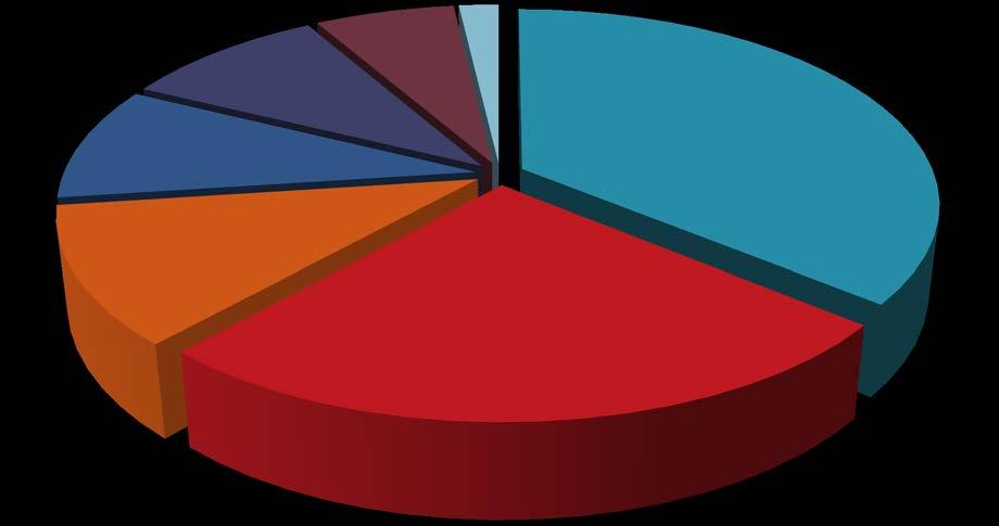 Digital Agencies 134 Press 38 Others 195 e-shop Owners