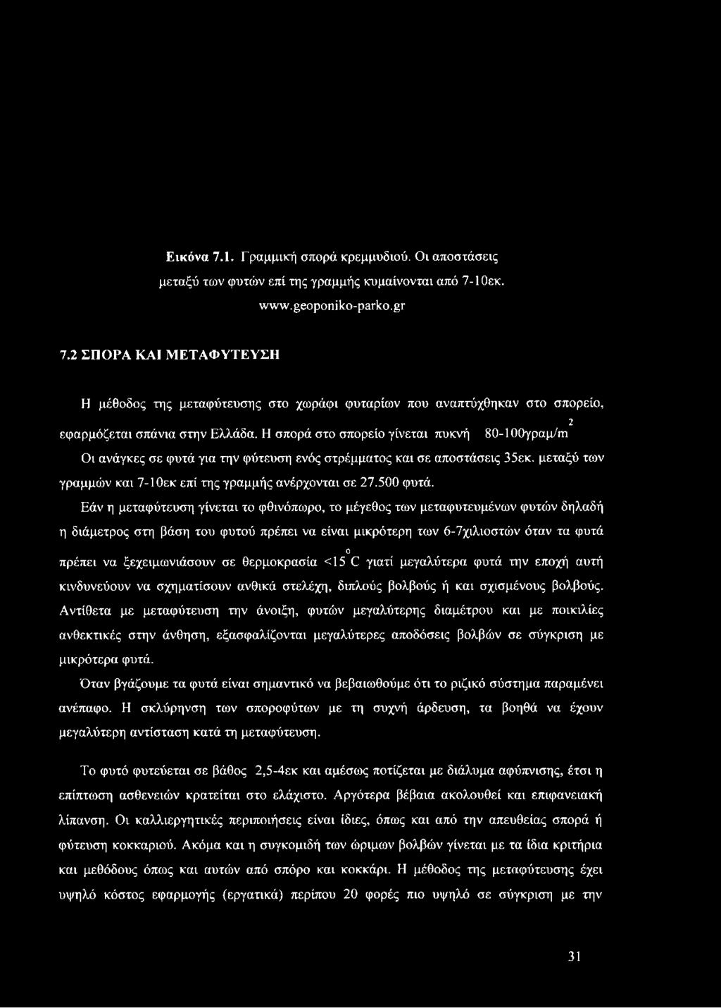 Η σπορά στο σπορείο γίνεται πυκνή 80-100γραμ/πι Οι ανάγκες σε φυτά για την φύτευση ενός στρέμματος και σε αποστάσεις 35εκ. μεταξύ των γραμμών και 7-10εκ επί της γραμμής ανέρχονται σε 27.500 φυτά.